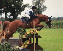 dressage horse Daisy (Bavarian, 2011, from Lissaro)