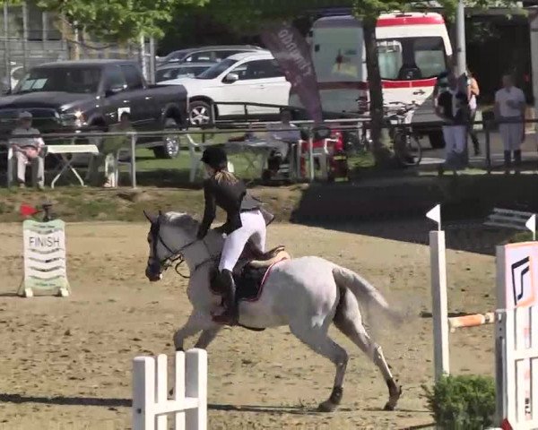 Springturnier Schwanheim 2016