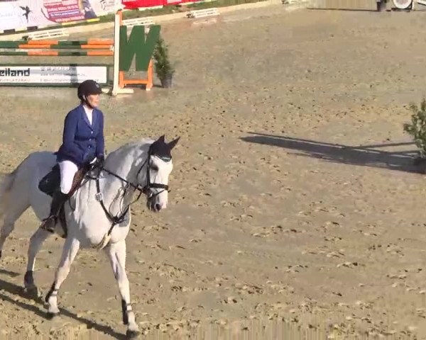 Springturnier Schwanheim 2016