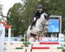 jumper Cooper B 4 (German Sport Horse, 2013, from Cellestial)