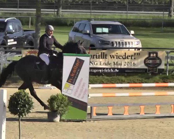 Springturnier Schwanheim 2016