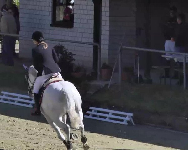 Springturnier Schwanheim 2016