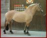 stallion Orion d'Ober (Fjord Horse, 2002, from Ansgar Skellerød)