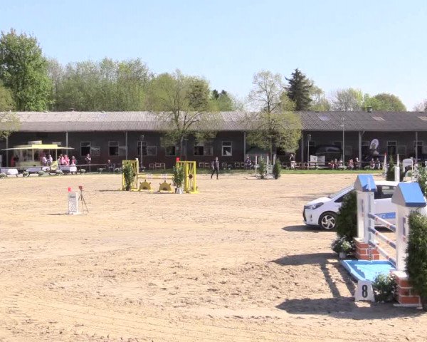 Reitturnier Halver 2016