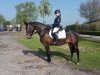 dressage horse Estera 6 (Polish Warmblood, 2013)