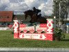 jumper Clark J (Oldenburg show jumper, 2011, from Carpathos)