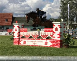 jumper Clark J (Oldenburg show jumper, 2011, from Carpathos)