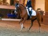 dressage horse Rosalie 273 (German Riding Pony, 2012, from Hot Cream 3)