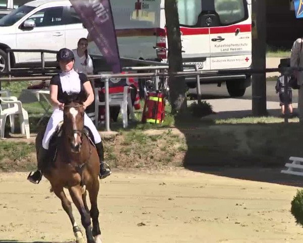 Springturnier Schwanheim 2016