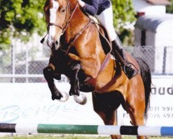 broodmare Pepite des Baumes CH (Swiss Warmblood, 2008, from Wandango)