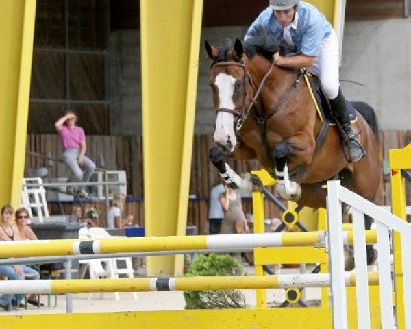 Springpferd Idylle des Baumes CH (Schweizer Warmblut, 2001, von Reichsgraf)