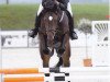 jumper Quick des Baumes CH (Swiss Warmblood, 2009, from Landjuweel St Hubert)