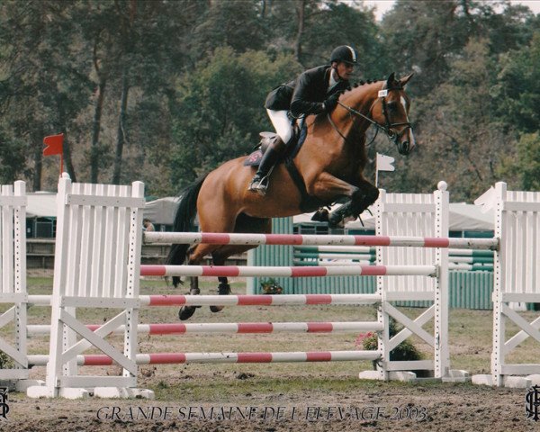 broodmare Ketty du Genet (Selle Français, 1998, from Royal Feu)