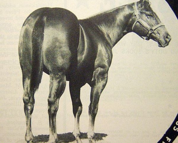 Deckhengst Copper Bunkhouse (Quarter Horse, 1970, von Copper Cogdell)