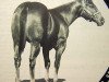 Deckhengst Copper Bunkhouse (Quarter Horse, 1970, von Copper Cogdell)