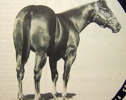 stallion Copper Bunkhouse (Quarter Horse, 1970, from Copper Cogdell)