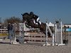 stallion Overfly 2 (German Riding Pony, 2007, from Oweron)