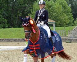 Zuchtstute Hønnerups Event (Dänisches Warmblut, 2005, von Glock's Romanov)