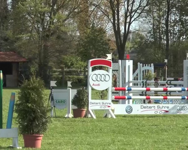 Reitturnier Lienen 2016