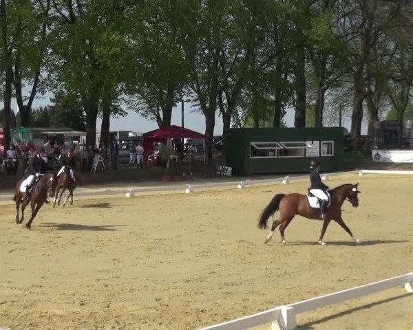 Reitturnier Kaarst - Reitanlage Bierewitz 2016