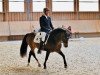 dressage horse Attila 631 (Pony without race description, 2008)