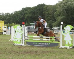 jumper Danny-Dancer 2 (German Riding Pony, 2004, from Domingo)