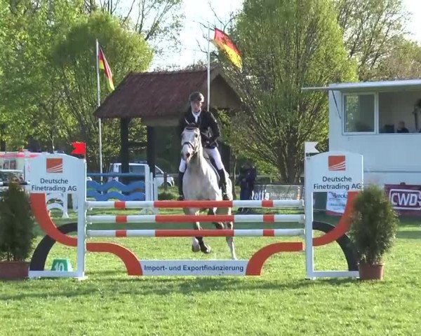 Reitturnier Lienen 2016