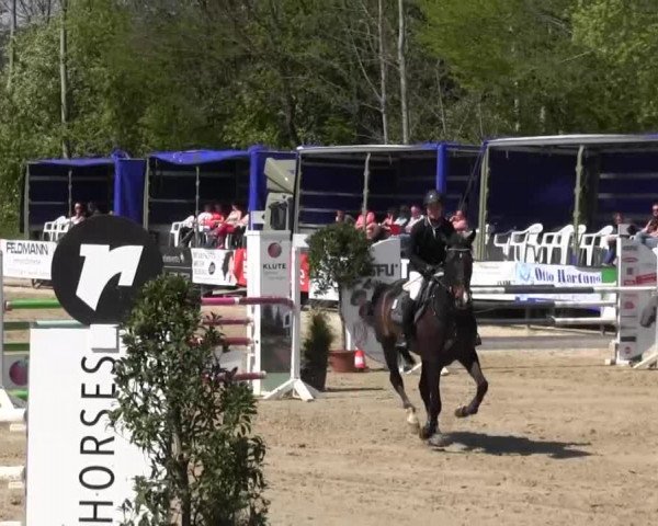 Reitturnier Hellefeld 2016