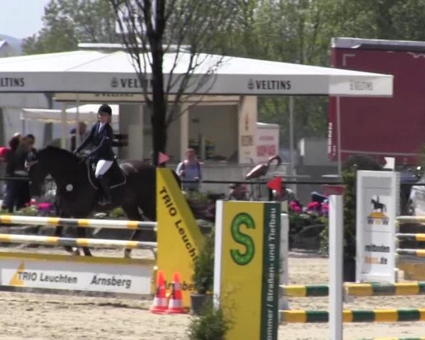 Reitturnier Hellefeld 2016