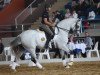 dressage horse Dante 109 (Oldenburg, 2002, from Depardieu 11)