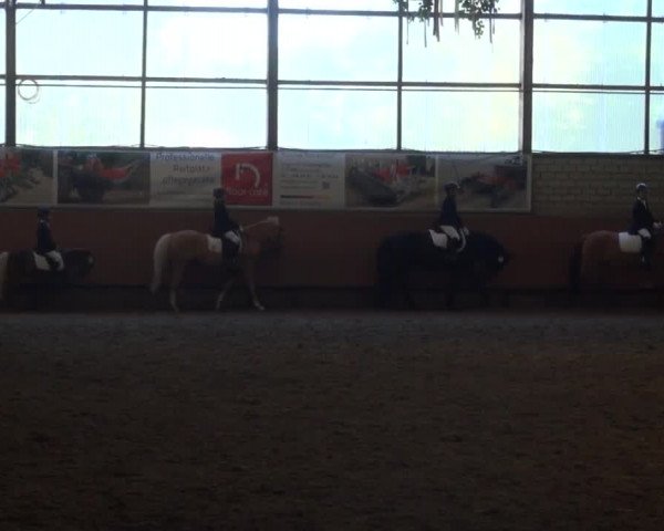 Reitturnier Hellefeld 2016