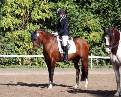 dressage horse Tendra (German Riding Pony, 2008, from Black Charming)