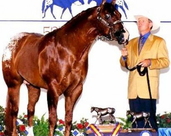 stallion The Visionary (Appaloosa, 1996, from Impressive Andrew)