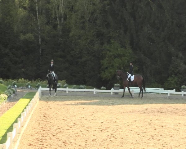 Reitturnier Halver 2016