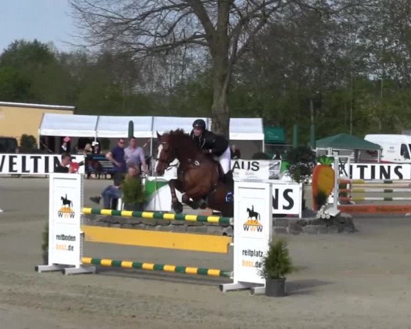 Reitturnier Hellefeld 2016