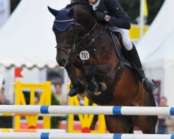 jumper Savage 8 (Oldenburg show jumper, 2006, from Solitair)