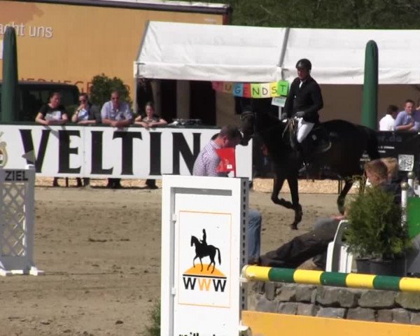 Reitturnier Hellefeld 2016