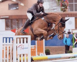 jumper Lupino 19 (Oldenburg show jumper, 2008, from Böckmanns Lazio)