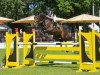 jumper High Noon 50 (Oldenburg show jumper, 2010, from Numero Uno)