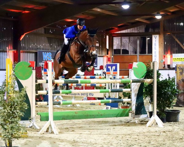 broodmare Collina 19 (Oldenburg show jumper, 2009, from Clinton H)
