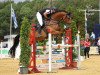 jumper Harvey 66 (Hanoverian, 2012, from Balou du Rouet)