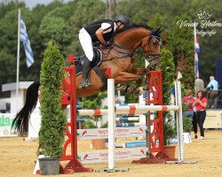 jumper Harvey 66 (Hanoverian, 2012, from Balou du Rouet)