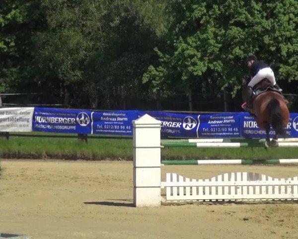Reitturnier Kaarst - Reitanlage Bierewitz 2016