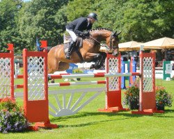 broodmare Afrika 61 (Oldenburg show jumper, 2011, from Checkland)