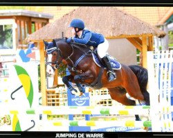 Springpferd Lexus van de Claevervallei (Belgisches Warmblut, 2007, von Vedet van de Vondelhoeve)