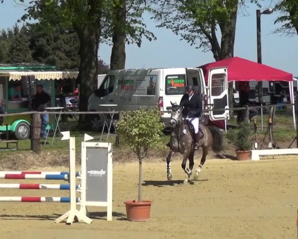 Reitturnier Kaarst - Reitanlage Bierewitz 2016