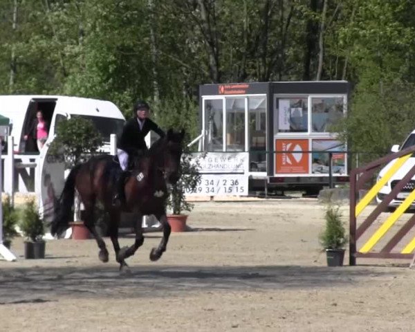 Reitturnier Hellefeld 2016