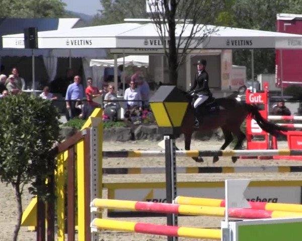 Reitturnier Hellefeld 2016