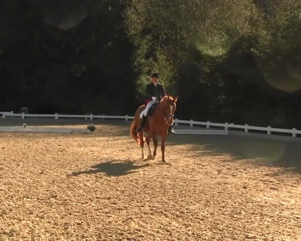 Reitturnier Halver 2016