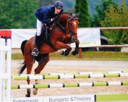 jumper Camiro Fly (Zangersheide riding horse, 2012, from Crown Z)